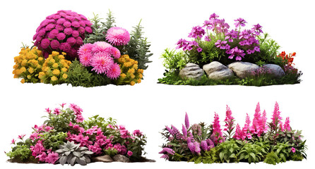 Set of garden flowers, cut out - obrazy, fototapety, plakaty