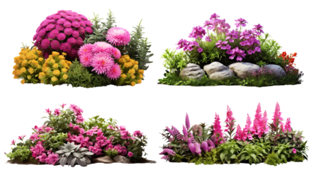 Set of garden flowers, cut out