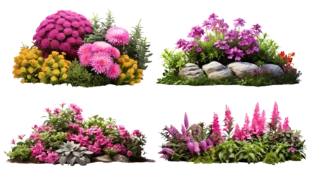 Foto op Plexiglas Set of garden flowers, cut out © Yeti Studio