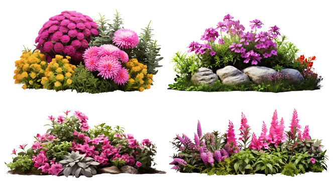Fototapeta Set of garden flowers, cut out