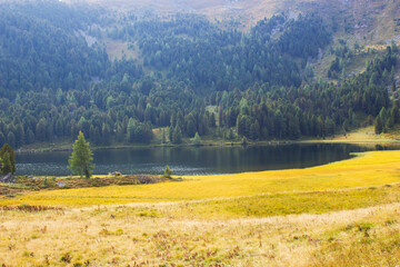 Landscape in Austian Alps, Steiermark, Austria