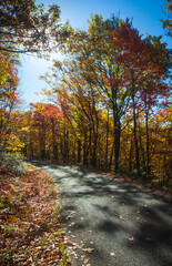 Road through Allegheny National Forest in Pennsylvania