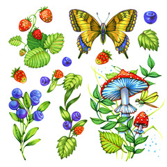 Summer forest leaves set. Watercolor marker nature clipart set colorful leaves, berries, mushrooms, leaves, butterfly isolate on white background. watercolor illustration