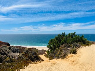 Fototapeta na wymiar blue ocean horizon, sand beach, dune, ocean coast
