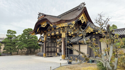 京都「二条城 唐門」 in 京都府 Japan - obrazy, fototapety, plakaty