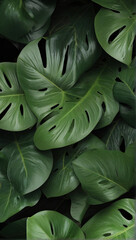  organic lines abstract wallpaper background design Sky Clouds Mobile Wallpaper Layout Purple and yellow soap bubbles in paint create abstract design suitable for a colorful background generative ai