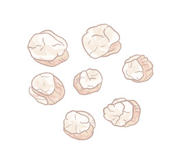 Different angles of raw scallops