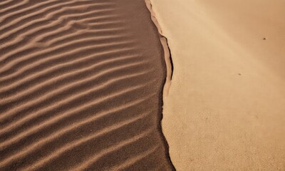Desert Texture: Sand Patterns and Dune Surface Close-Up