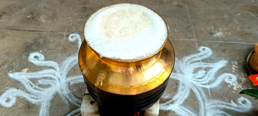 Golden color brass pot with rice. traditional south Indian Pongal festival. selective focus image.