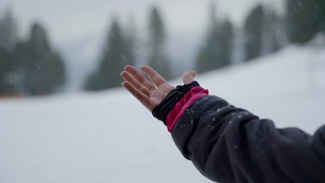 Female hand picking up snowflakes as snow falls outside during cold winter day. Woman with winter coat stretches out her hand while it is snowing with green trees and snowy mountain in background