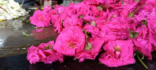 
Lot of vibrant rose flowers in shop. selective focus image. 