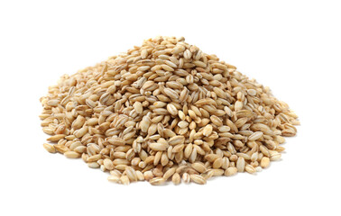 Pile of raw pearl barley isolated on white