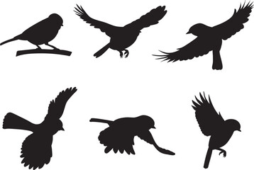 Fototapeta premium bird silhouette, tit set vector