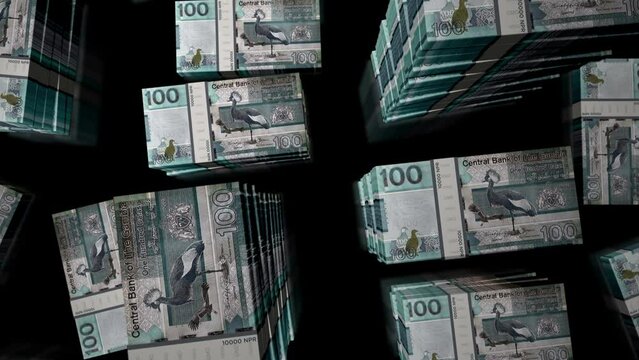 Gambia money Gambian dalasis notes packs loop. 3D flight over 100 GMD banknotes stacks towers. Loopable seamless abstract background concept of business, economy crisis and finance.