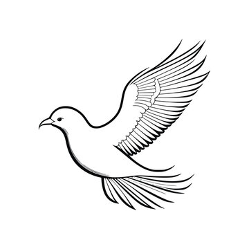 Dove wild animal vector EPS