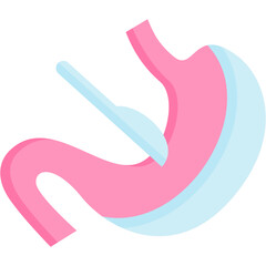Obraz premium Bariatric Surgery Icon