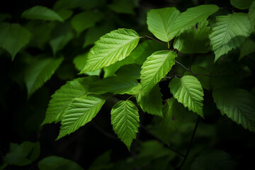 Fototapeta na wymiar Beautiful green leaves generative AI