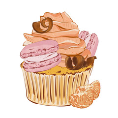 Cupcake with orange cream, chocolate and macaron. Realistic style. Hand drawn illustration isolated on white background. Graphic element for pastry shops, logo, menu