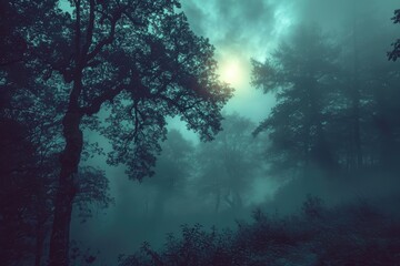 Fototapeta na wymiar The Enigmatic Veil of Fog