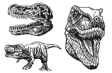 Graphical set of dinosaurs on white background, vector collection. Graphical elements for design and typography