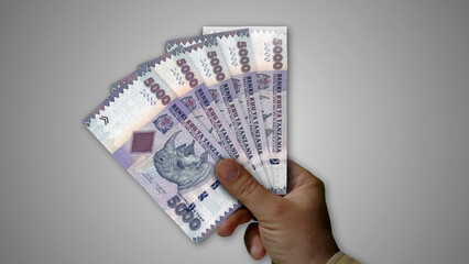 Tanzania shilling growing pile of money in hand concept 3d illustration