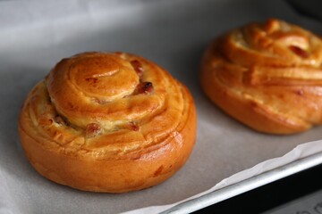 Delicious rolls with raisins on baking tray, closeup. Cooking sweet buns