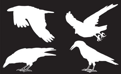 Ink pen vector set of silhouettes of crows on black background. Elements for design,tattoo and printing