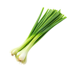  Fresh spring onion isolated on white background