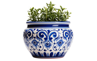 Mexican Talavera Ceramic Planter in Vivid Hues on White or PNG Transparent Background