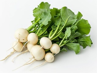 a bunch white radishes
