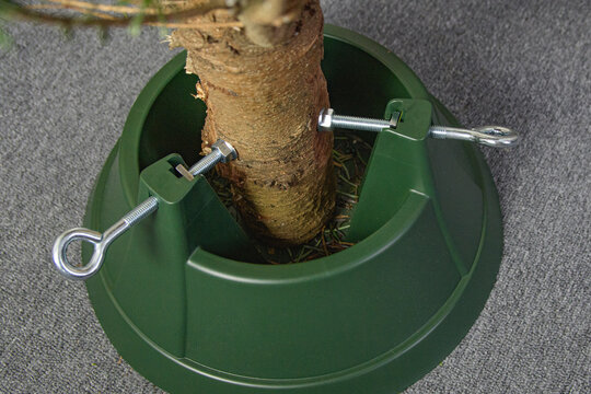 Wide plastic stand is used to mount a natural Christmas tree. Close up. Tree trunk secured with screw.