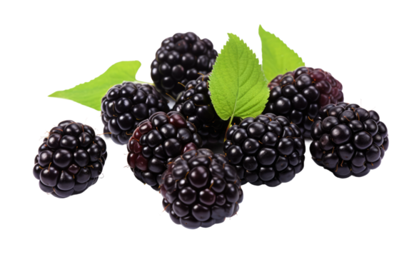 Unveiling the Sweet Secrets of Blackberry Jamun Culinary Fusion on White or PNG Transparent Background