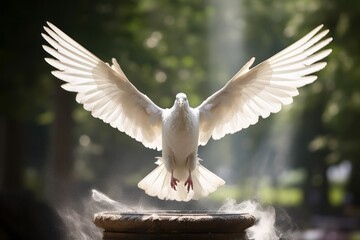 A white bird flies up, spreading its wings