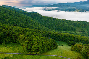 Polski las z powietrza © Maciej G. Szling