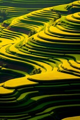 Rice terraces in Sapa mountains, Landscape of terraced rice field near Sapa, North Vietnam