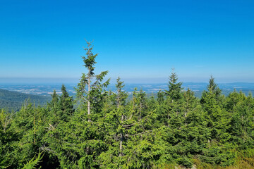 Aerial view of the valley on a sunny summer day.