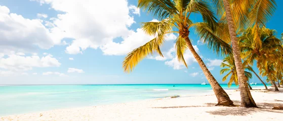 Rolgordijnen Vacation summer holidays background wallpaper - sunny tropical Caribbean paradise beach with white sand in Seychelles Praslin island Thailand style with palms © Vasily Makarov