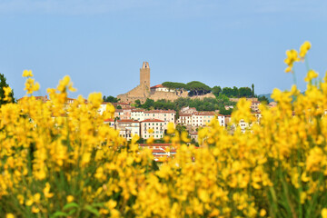 Castiglion Fiorentino e ginestre, Toscana