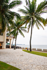 Tranquil Beachside Retreat Amidst Whispering Palms