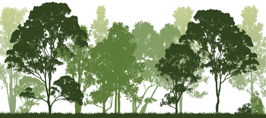 Green Silhouette of Forest Trees Against a White Background