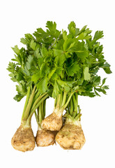 Fresh vegetables; celery on the white background
