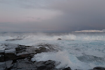 Arctic ocean and Barents sea
