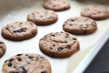 Chocolate chip cookies on parchment paper, closeup
