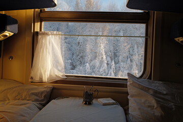 Train window amd winter panoramic views