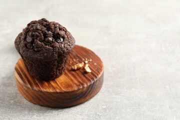 Delicious chocolate muffin on light grey table, closeup and space for text
