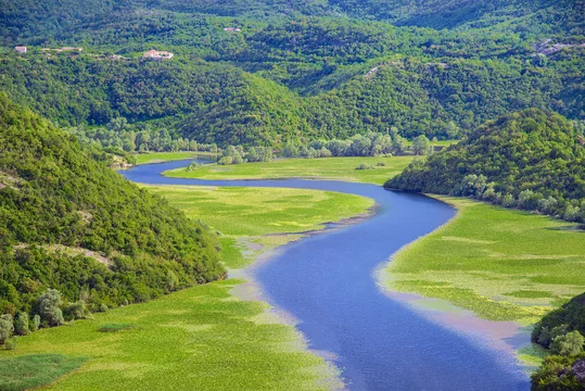 Lac Skadar - Adobe Stock