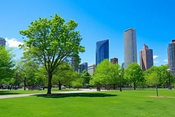 Fototapeten A modern city park with skyscrapers peeking above trees under a sunny blue sky, Generative AI © Formatikastd