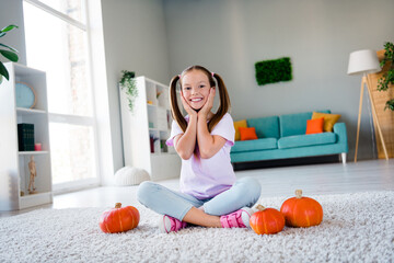 Full size photo of funky peaceful cheerful girl sit carpet floor arms touch cheeks pumpkins modern apartment inside