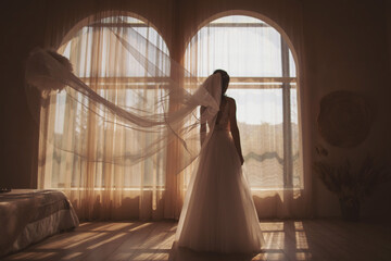 Bride near the window. the bride in a wedding dress, stands back, you can see her silhouette,...