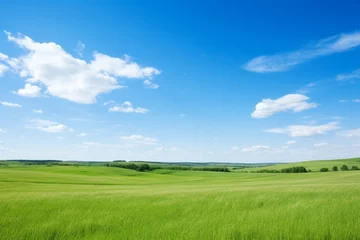 Fotobehang A serene landscape with a clear blue sky stretching over a tranquil countryside, Generative AI © Formatikastd